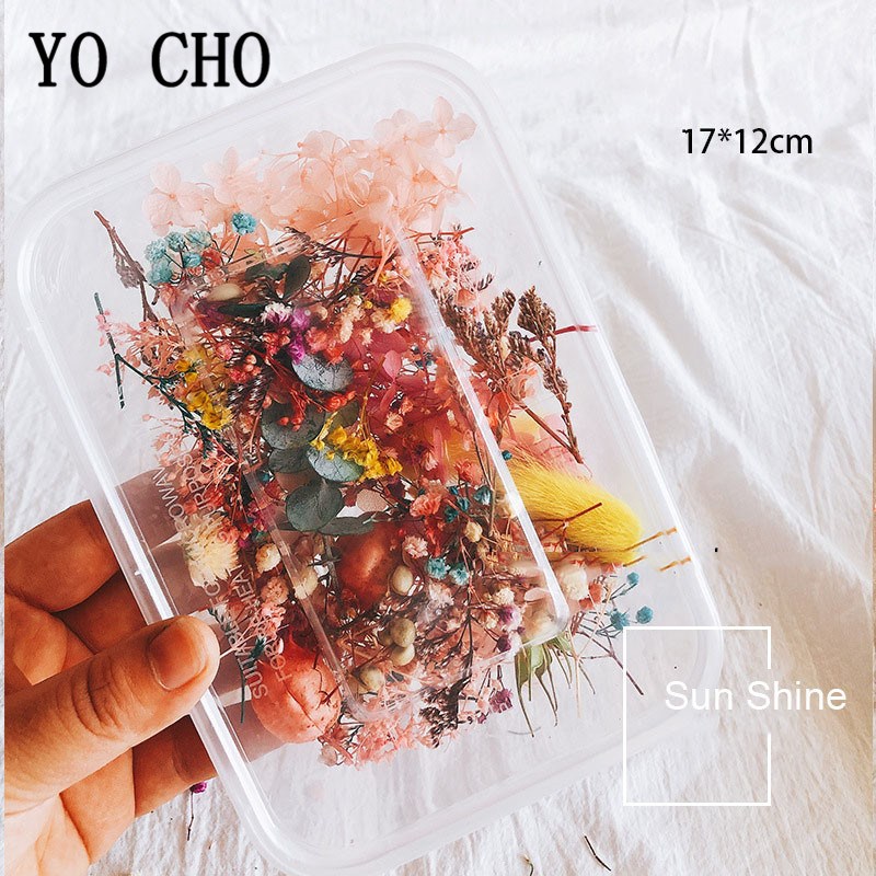 10 Kind Boxed Dried Flower DIY Accessories Dry Aromatherapy