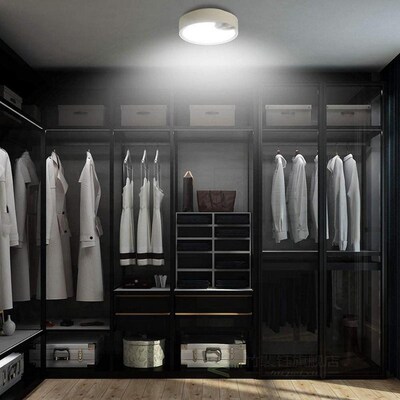 Motion Sensor Ceiling Light Battery Operated Indoor/Outdoor