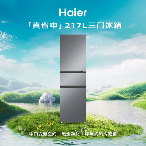 海尔Haier真省电217L 家用小户型一级能效星辉银BCD-217WGHC3E9S9
