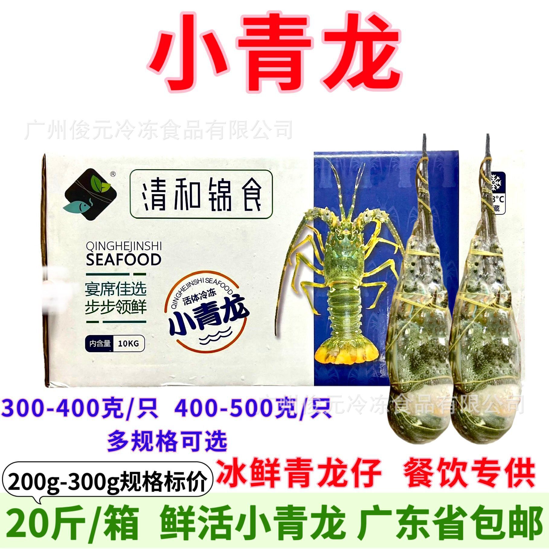 鲜冻小青龙 鲜活水产冷冻青龙仔青龙虾花龙虾特大小青龙整箱20斤