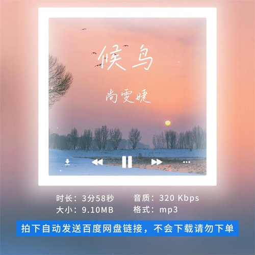 【淘淘伴奏】B3136尚雯婕 候鸟 原版伴奏 带和声