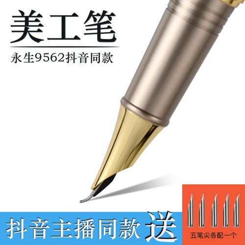 永生钢9562笔抖音同款美工钢笔