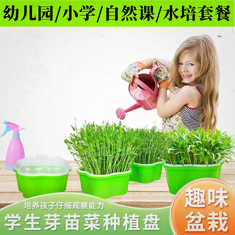 幼儿园植物儿童观察生长种植小学生盆栽发芽水培蔬菜芽苗菜育苗盘 鲜花速递/花卉仿真/绿植园艺 育苗盘/营养钵 原图主图