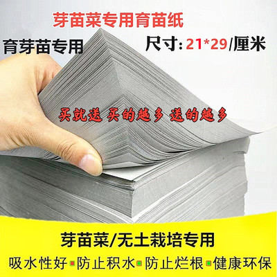 育苗纸芽苗菜种植纸水培纸上种菜
