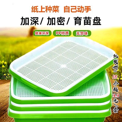 芽苗菜育苗盘豆芽种植盘水培种植