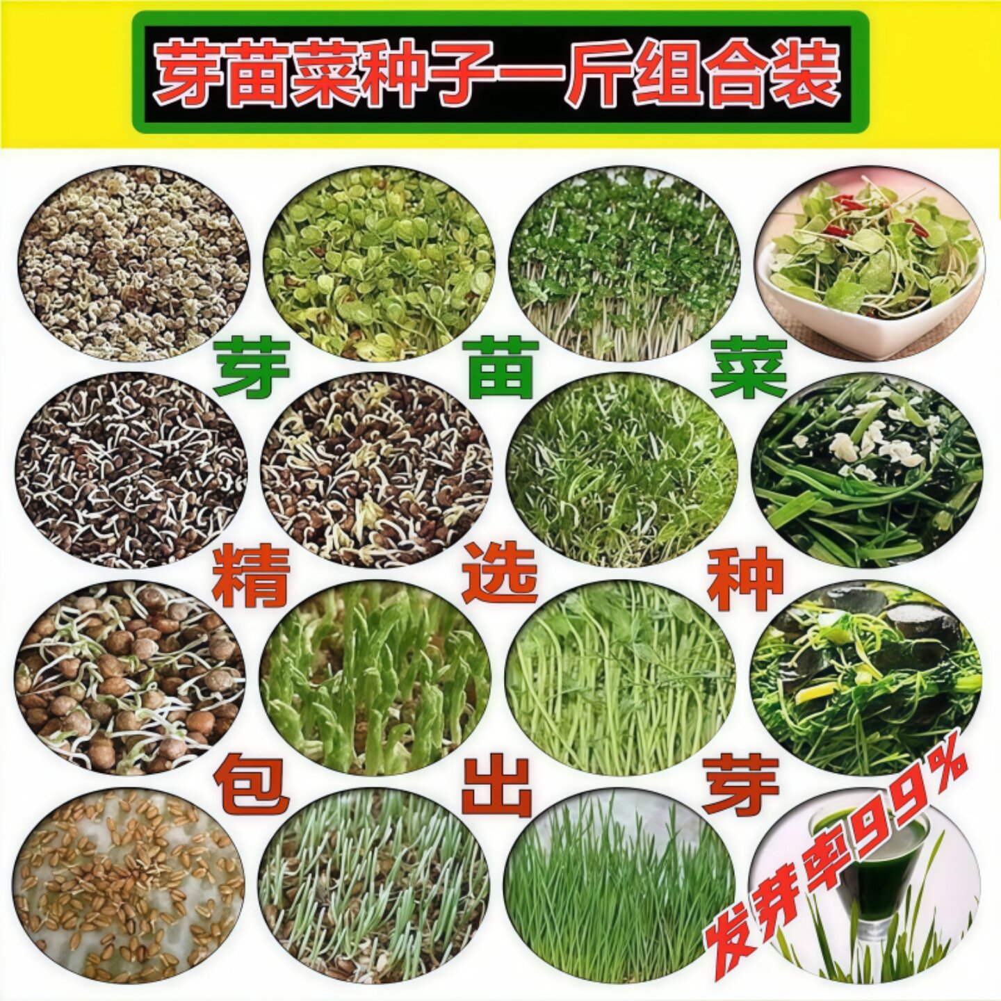 芽苗菜种子组合豆芽菜种籽豌豆萝卜空心菜小麦苗四季水培蔬菜种孑
