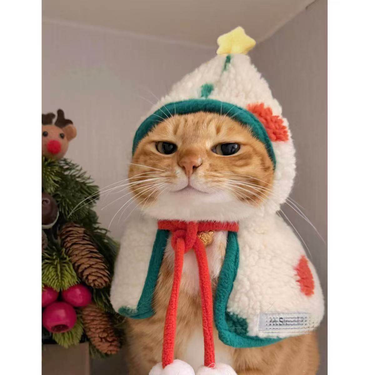 猫咪狗狗圣诞斗篷可爱冬季保暖宠物新年搞怪拍照过年宠物披肩,宠物/宠物食品及用品,猫宠物服装/雨衣（新）,淘宝优惠券,粉丝福利购,淘宝优惠卷