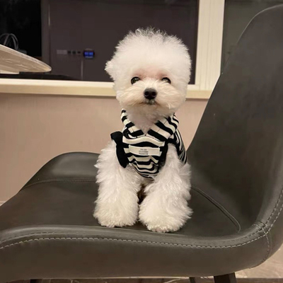 狗狗衣服秋冬款比熊博美雪纳瑞小型犬连帽韩版秋冬泰迪狗狗衣服