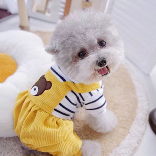 宠物狗狗衣服秋冬天泰迪比熊加绒小型犬秋装四脚条纹熊背带灯笼裤