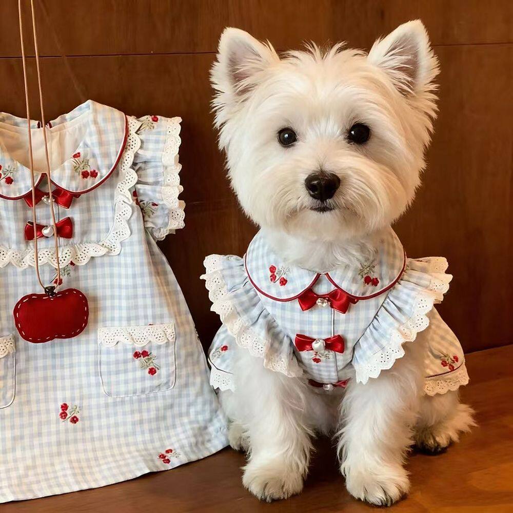 宠物衣服复古蓝格纹小洋裙韩系蕾丝飞袖狗狗猫咪洋气公主裙