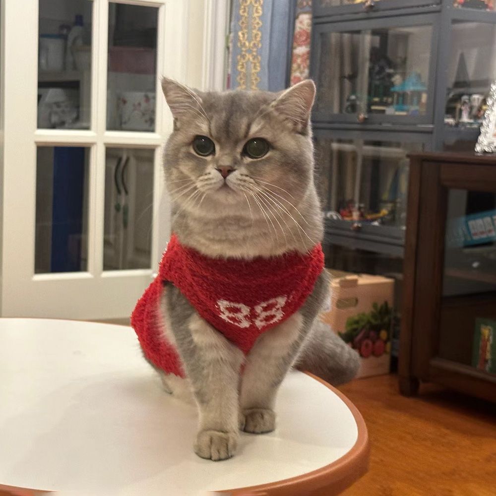 猫狗新款冬款保暖毛衣狗狗衣服冬季中小型犬约克夏雪纳瑞宠物猫咪