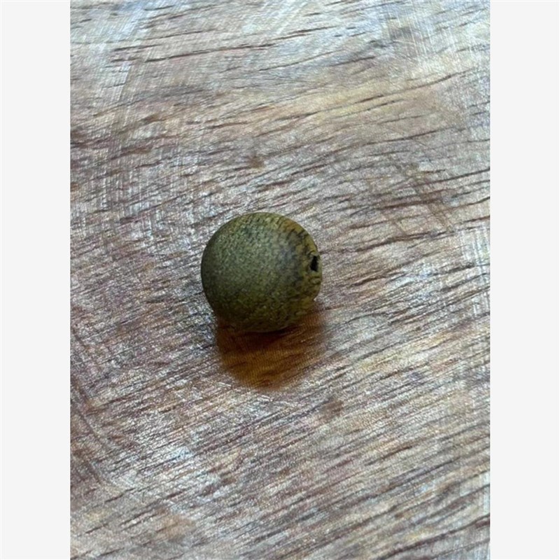 天然奇楠沉香单颗手串老料男女沉香珠子散珠沉香佛珠配珠保真念珠