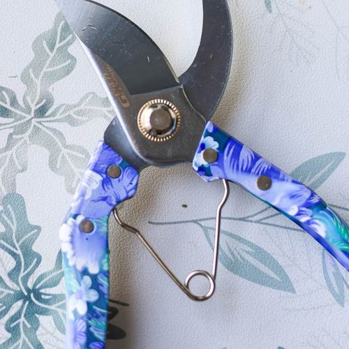 木枝剪刀修枝剪修剪比较硬的枝条枝条剪刀