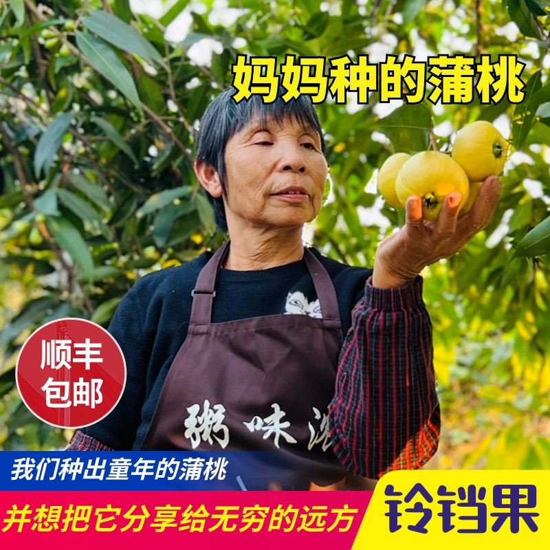 广东水蒲桃儿时味道风鼓铃铛果清甜自然多汁精选热带新鲜采摘水果 水产肉类/新鲜蔬果/熟食 芭乐 原图主图