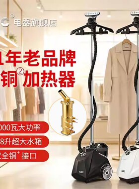 ABC全铜2000W大功率蒸汽挂烫机商