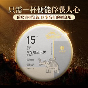古寨春【象牙塘望天树高杆】2025年头春普洱茶易武生茶357g饼茶