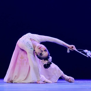 古典舞演出服女儿童少儿艺考剧目服装和风蝶语舞蹈服飘逸古典独舞