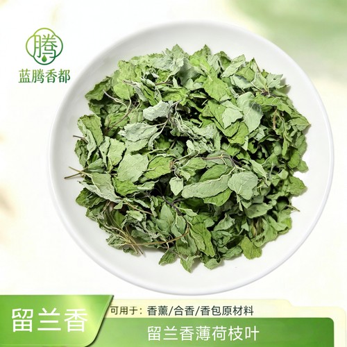 2026留兰香薄荷干叶 干薄荷叶 新鲜烘干 可以diy香草香薰合香原料