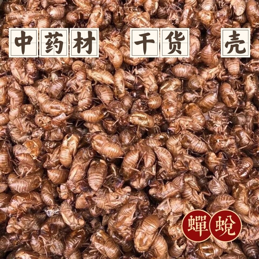禅衣蝉蜕中药材 正品天然100g高含量虫退毛猴退壳500g散装干货