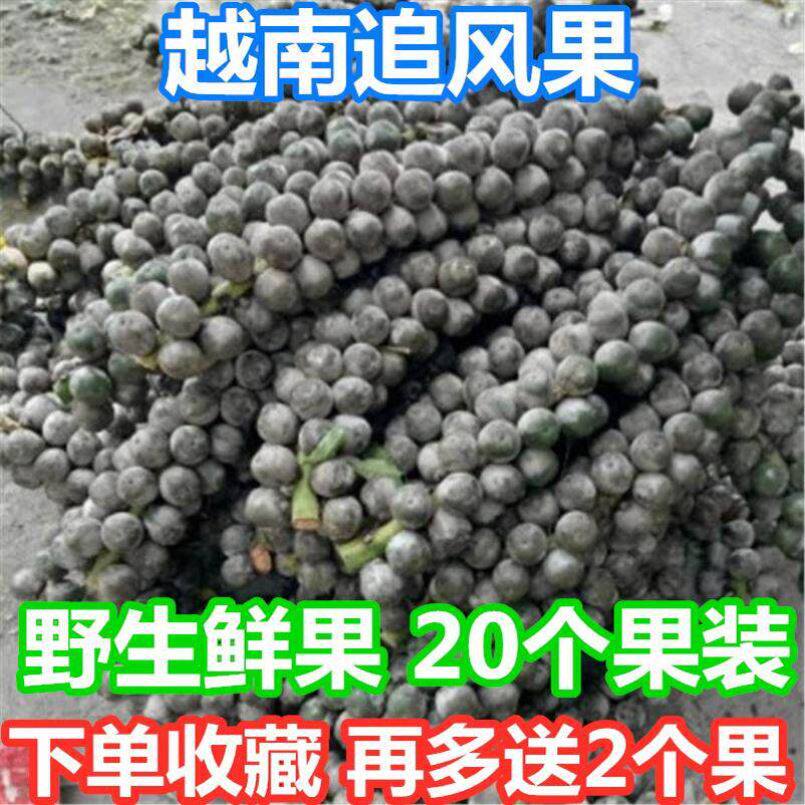 追风果正宗越南泡酒刺虎现摘外用