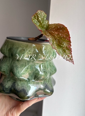 出口外贸复古田园创意陶瓷装饰蝴蝶兰花客厅餐桌南瓜圣诞树花盆