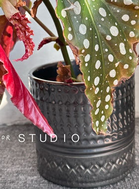 【YFOR】复古风浮雕中古风黑鳟鱼秋海棠春羽多肉绿植陶瓷花盆轻奢