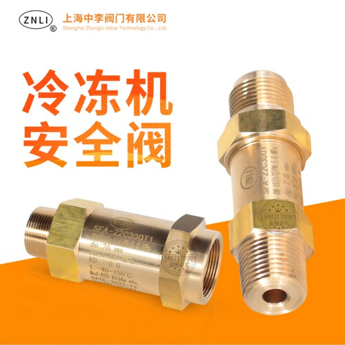 安全阀 SDA-22C300T 上海东紫同款 上安同款尺寸