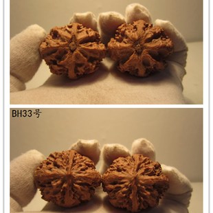 极速文玩核桃收藏级狮子头官帽一物一图 秦岭野生大X粗筋灯笼【壁