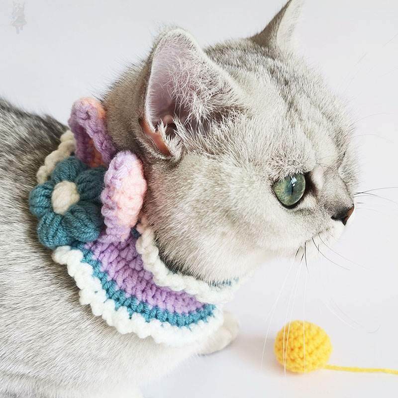 速发2猫咪围脖diy手工材料包可爱毛线编织项圈小型犬狗狗脖子饰品,宠物/宠物食品及用品,项圈/肩带,淘宝优惠券,粉丝福利购,淘宝优惠卷