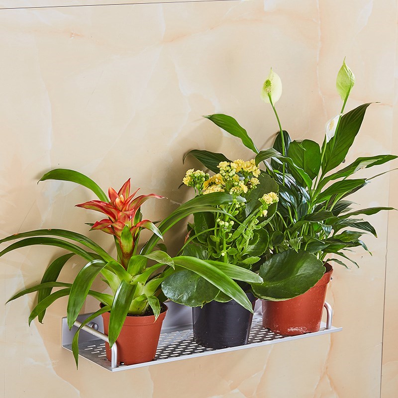 极速客厅阳台挂壁花架壁挂式花篮架挂墙上花盆R架挂架挂墙面免打