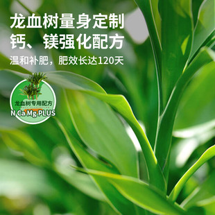 极速龙血树专用肥料营养液盆栽A植物室内绿植养花花肥通用氮磷钾