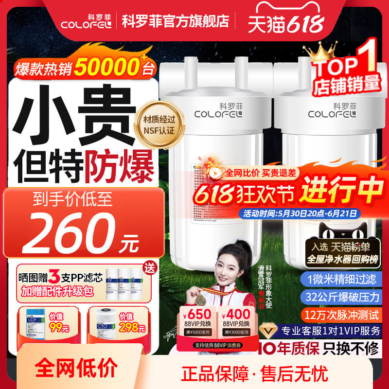 科罗菲大白瓶前置过滤器全屋净水