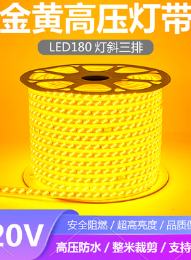 220V三排金黄光LED灯带条防水金黄色180灯每米黄金色LED灯条户外