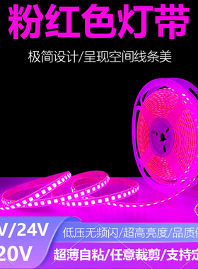 浪漫粉色12V24V粉红色灯带LED粉光紫灯条24伏瑰红色超薄贴片220V