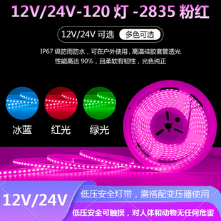 LED12V超亮套管防水粉色灯带24V户外防水粉红色灯带装饰浪漫粉色