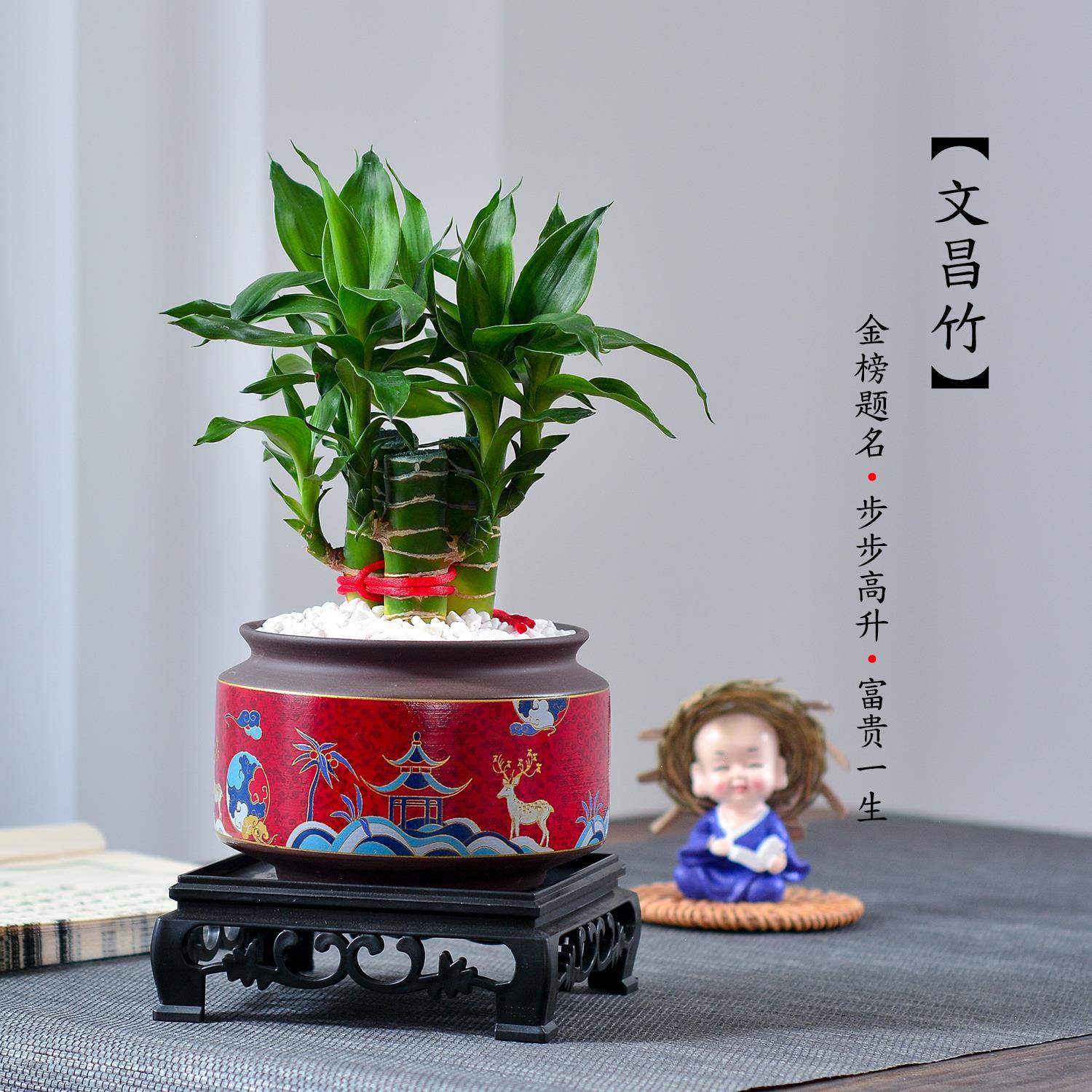 富贵竹植物盆栽书桌绿植室内办公室好养文昌竹4支步步高转运花卉