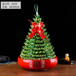 适合搬新家的绿植节节高富贵竹塔水培绿植客厅办公室盆栽室内净化