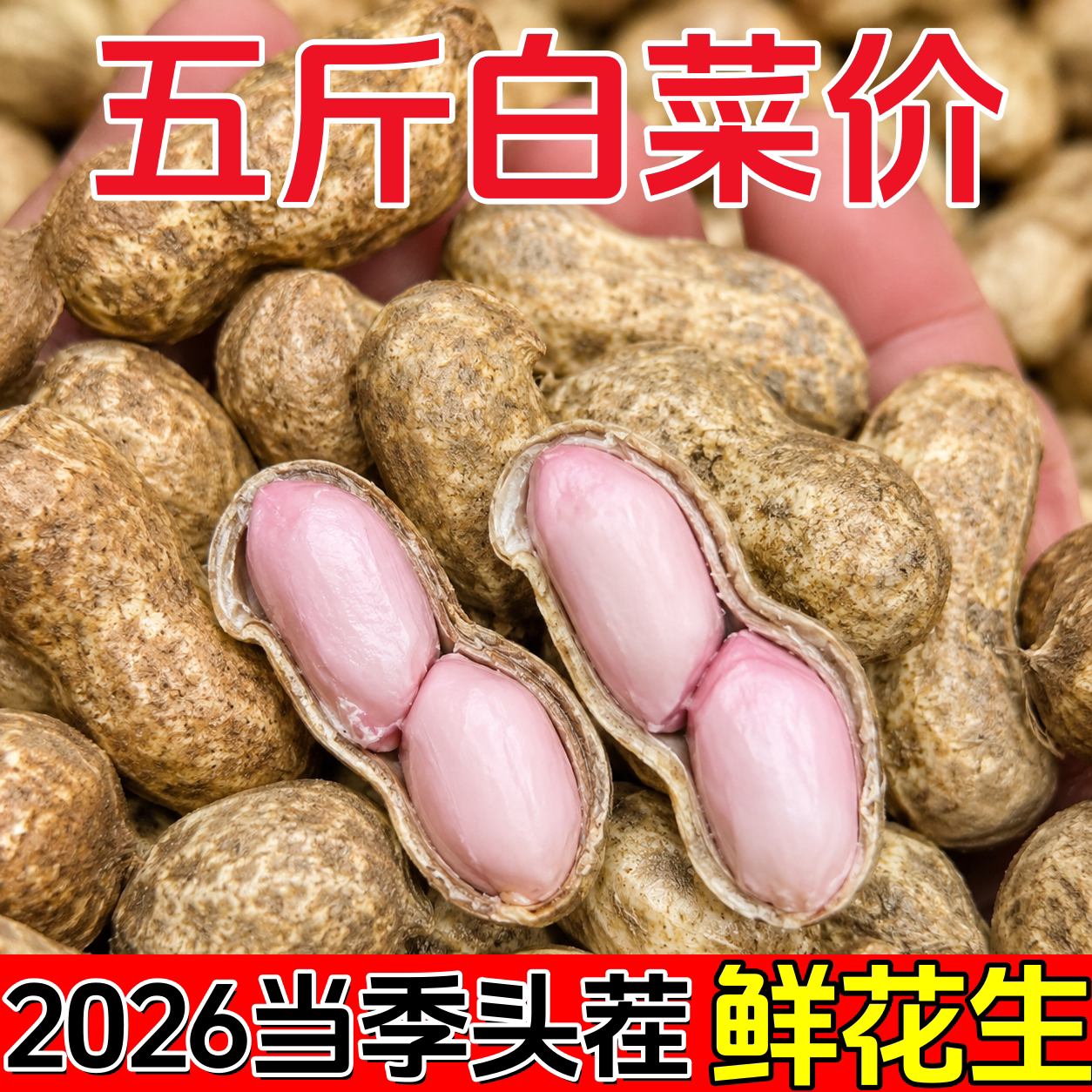 2026年新鲜湿花生农家带壳生花生图片