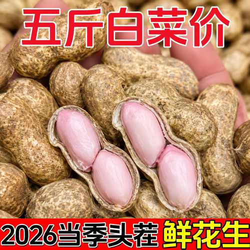 2026年新鲜湿花生农家带壳生花生