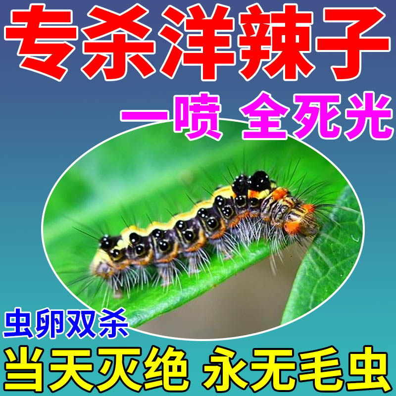 洋辣子杀虫剂专用药治洋辣子梧桐树枣树玉米地毛毛虫刺蛾虫卵双杀