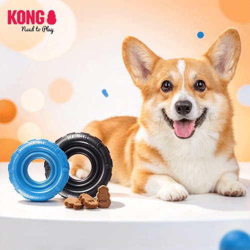 KONG幼犬轮胎漏食玩具耐咬橡胶宠物解闷丰容磨牙藏食益智狗狗玩具