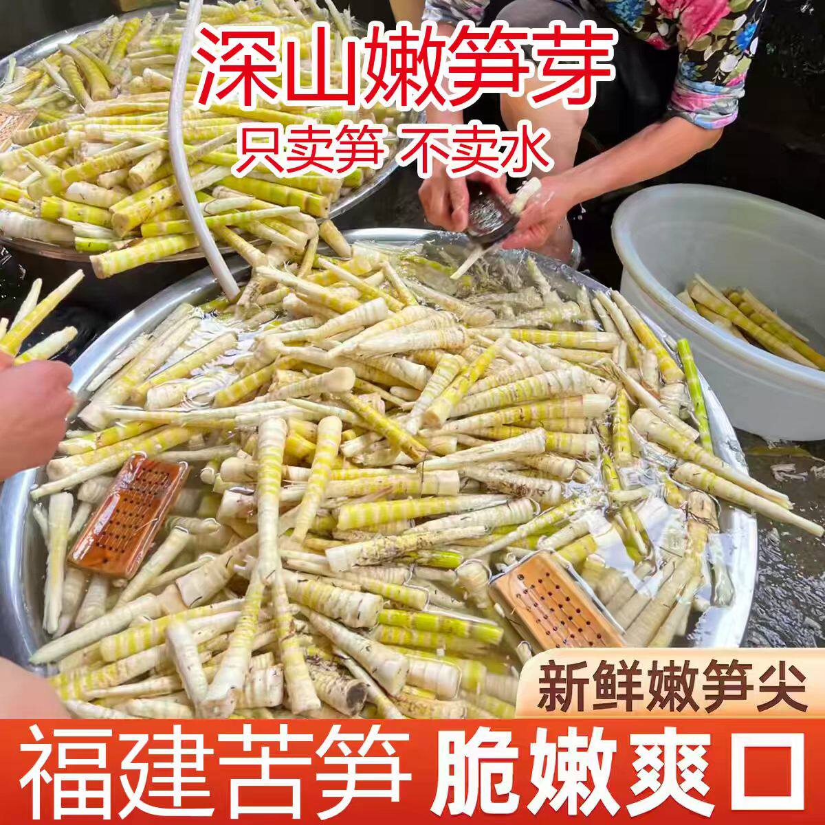 新鲜野生苦笋嫩笋竹笋真空包装福建野生苦竹笋现挖现发竹笋甘凉笋