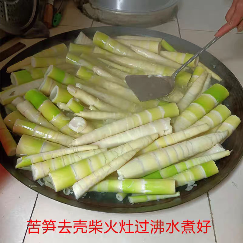 苦笋水煮清汁笋新鲜现挖农家野生笋农家苦竹客家炖汤下火竹笋