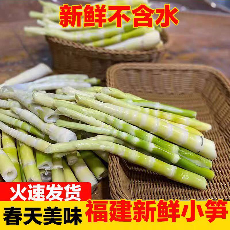 苦笋新鲜深山野生苦竹笋清水苦笋客家特产小竹笋春笋真空包装