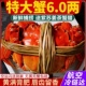 10只装 鲜活大闸蟹特大活螃蟹公6.0两 母5.0两礼盒装 顺丰 包邮
