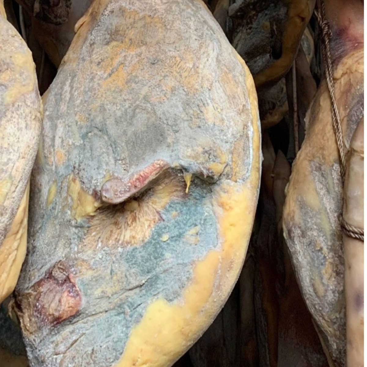 贵州盘州特产盘县坪地两年陈香整只非金华火腿500g自然块包装食品,粮油调味/速食/干货/烘焙,火腿/即食火腿/加工火腿,淘宝优惠券,粉丝福利购,淘宝优惠卷