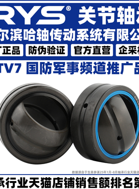 RYS 关节轴承 GEEW 40 45 50 60 63 70 80 90 100 110 120 125 ES