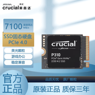 英睿达P3101T2T固态硬盘
