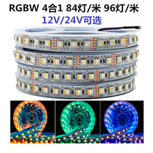 RGBW四合一led灯带12v24伏5050RGB白光84灯96灯贴片七彩变色灯条