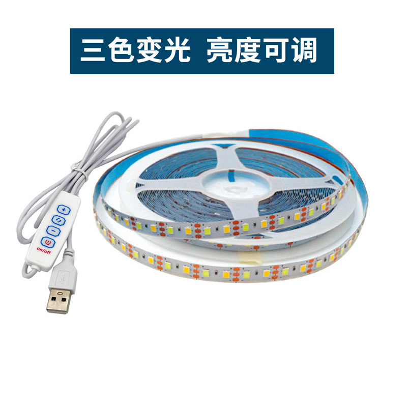 5VUSB双色温灯带低压贴片